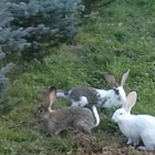 Generic placeholder image